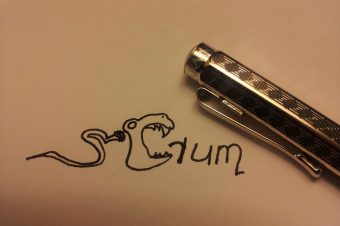 Kako Scrum Master može da zaštiti tim od samoga sebe?
